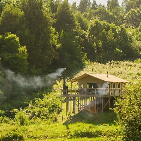 Africamps Magoebaskloof Villa Dış mekan fotoğraf