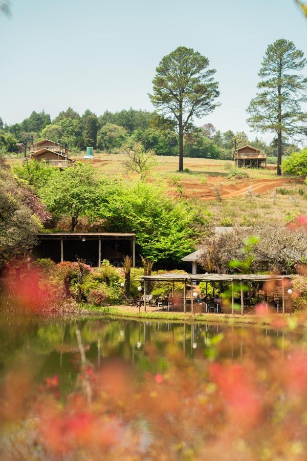 Africamps Magoebaskloof Villa Dış mekan fotoğraf