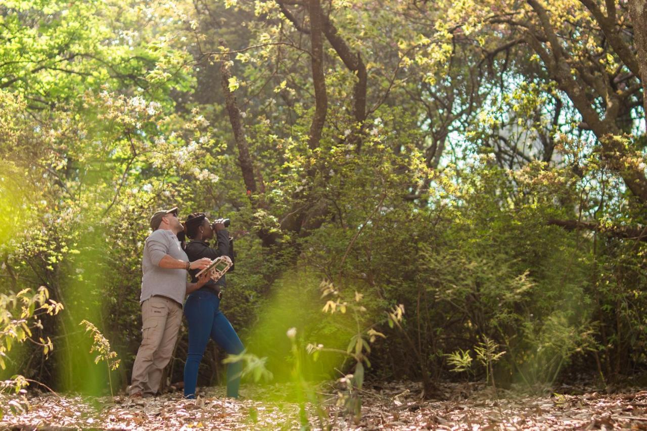 Africamps Magoebaskloof Villa Dış mekan fotoğraf